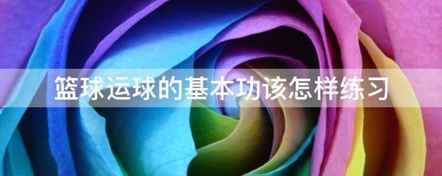 哪里可以找到篮球训练的模范案例_0